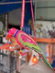 Photoroom_20260924_115938