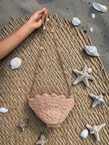 Scallop Shell